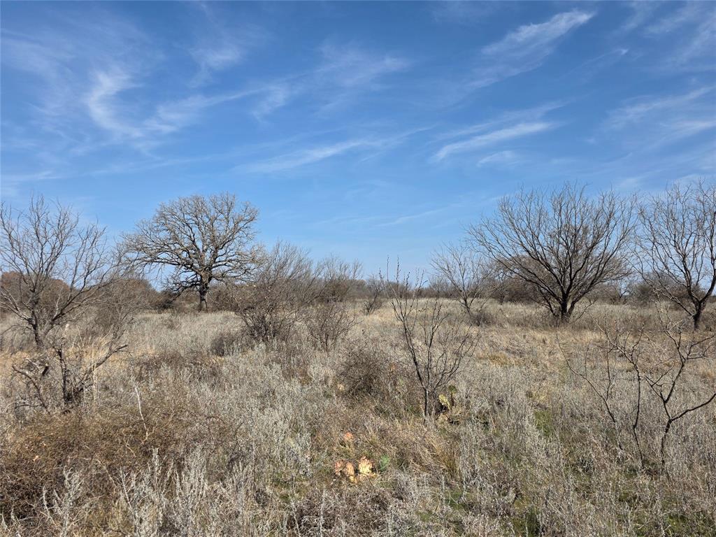 1000 County Road 375 Rising Star, TX 76471 - Photo 23 of 40 a view of a dry yard with wooden fence and large trees
