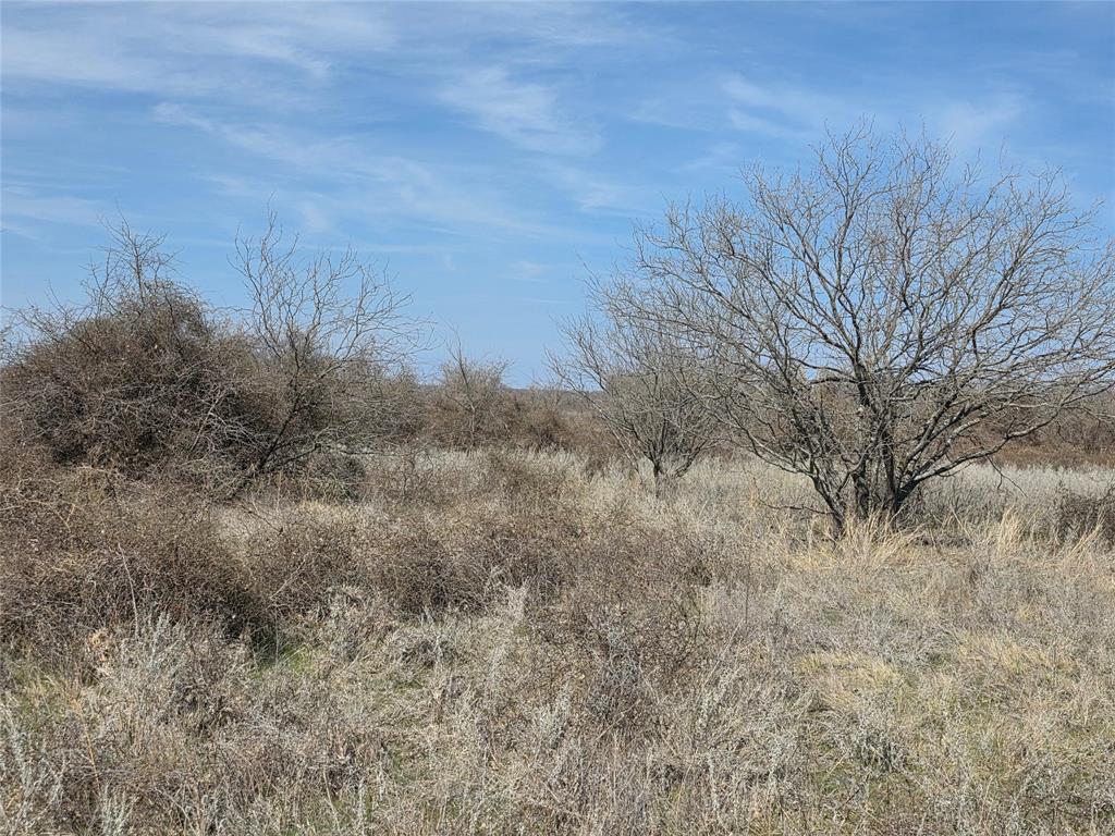 1000 County Road 375 Rising Star, TX 76471 - Photo 24 of 40 a view of a dry yard with trees