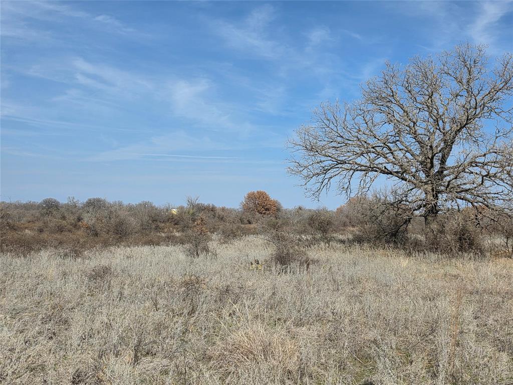1000 County Road 375 Rising Star, TX 76471 - Photo 25 of 40 a view of a dry field with trees in the background