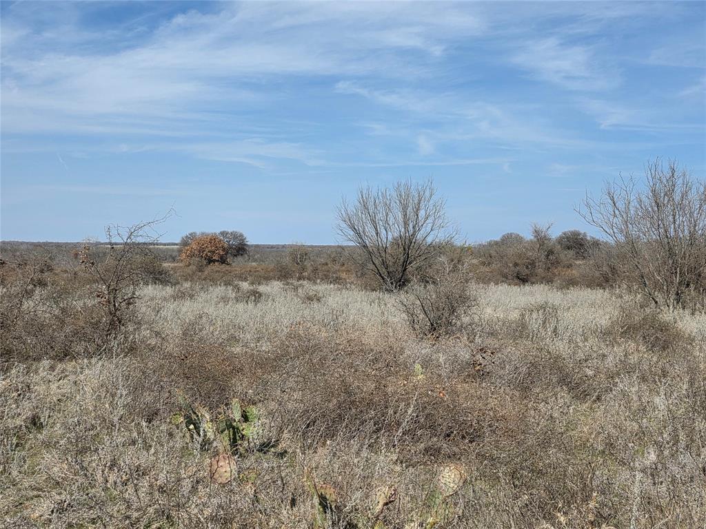 1000 County Road 375 Rising Star, TX 76471 - Photo 26 of 40