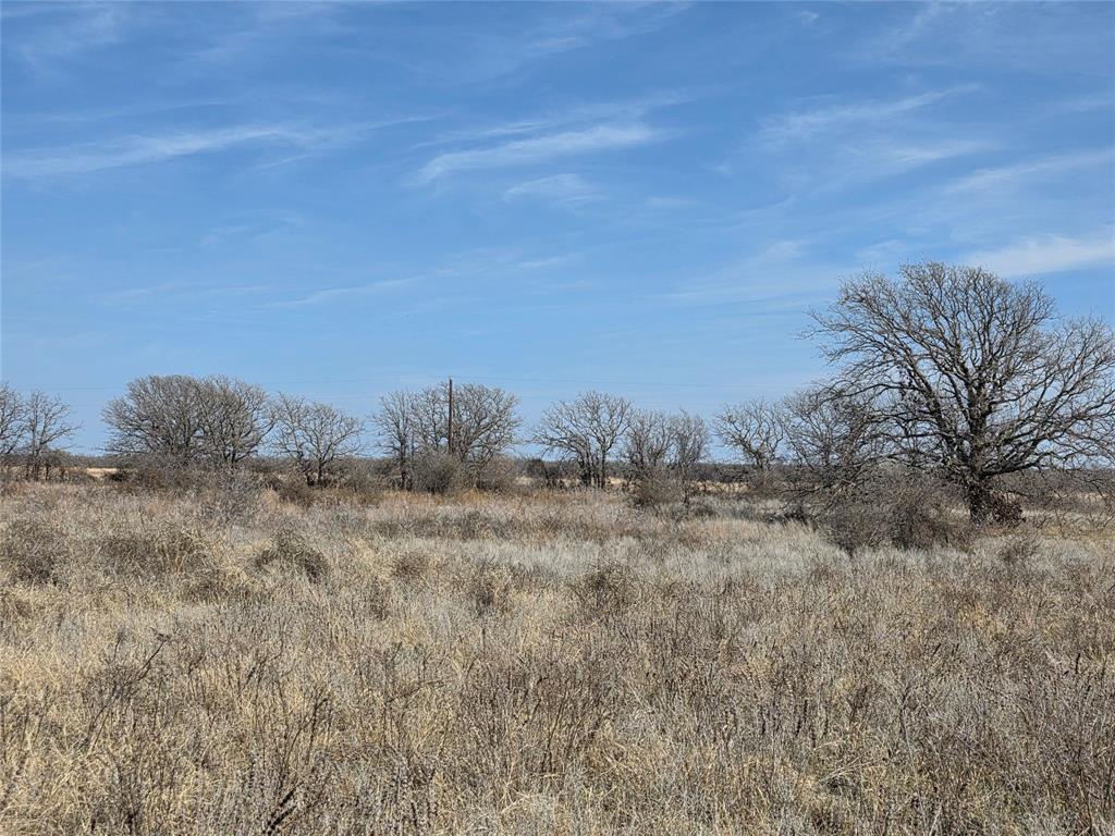 1000 County Road 375 Rising Star, TX 76471 - Photo 27 of 40 a view of a dry yard with wooden fence