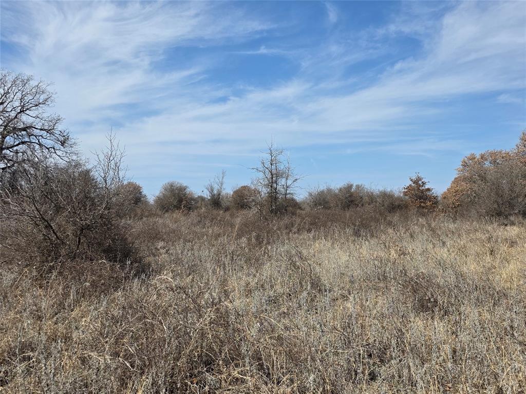 1000 County Road 375 Rising Star, TX 76471 - Photo 28 of 40 a view of a bunch of trees in a field