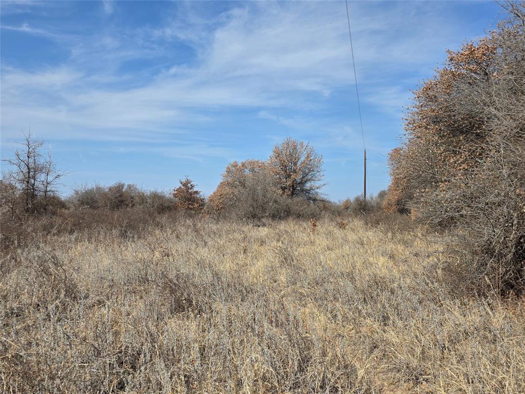 1000 County Road 375 Rising Star, TX 76471 - Photo 29 of 40 a view of a dry yard with trees