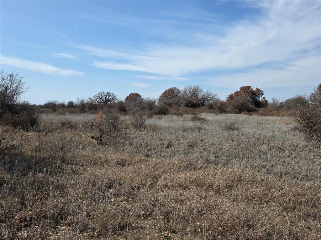1000 County Road 375 Rising Star, TX 76471 - Photo 30 of 40 a view of a dry field