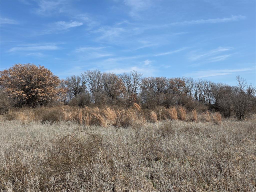 1000 County Road 375 Rising Star, TX 76471 - Photo 31 of 40 a view of a lake with a mountain in the background