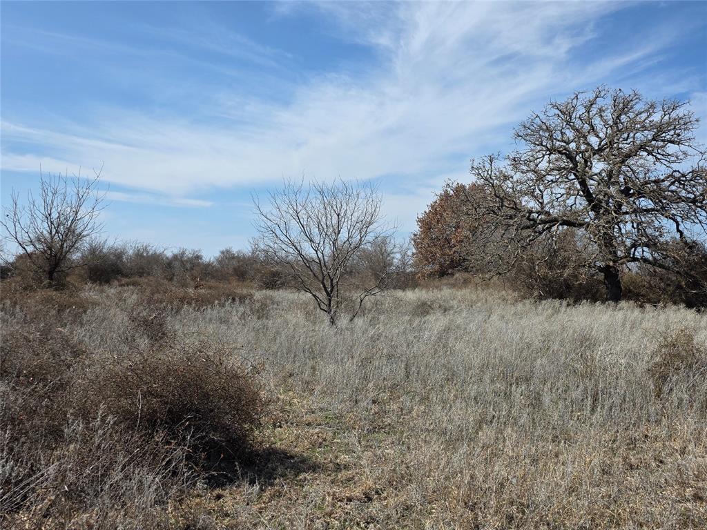 1000 County Road 375 Rising Star, TX 76471 - Photo 32 of 40 a view of a dry yard with wooden fence and plants