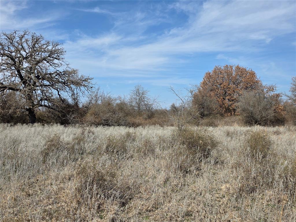 1000 County Road 375 Rising Star, TX 76471 - Photo 33 of 40 a view of a dry space with lots of trees
