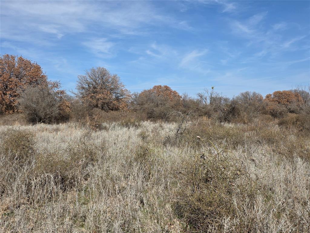 1000 County Road 375 Rising Star, TX 76471 - Photo 34 of 40 a view of a field of grass and trees