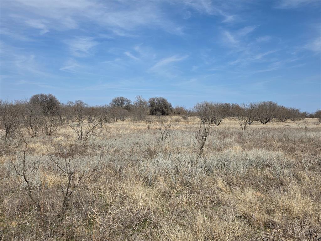 1000 County Road 375 Rising Star, TX 76471 - Photo 36 of 40 a view of mountain with trees in background