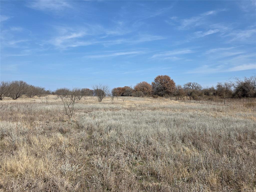 1000 County Road 375 Rising Star, TX 76471 - Photo 37 of 40 a view of a field and tall trees