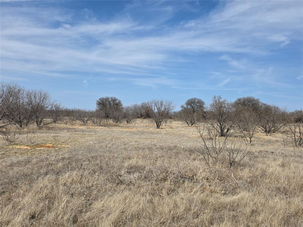 1000 County Road 375 Rising Star, TX 76471 - Photo 38 of 40 a view of an outdoor space and a yard