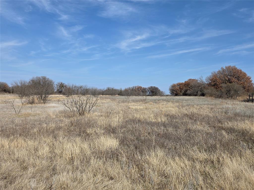 1000 County Road 375 Rising Star, TX 76471 - Photo 39 of 40