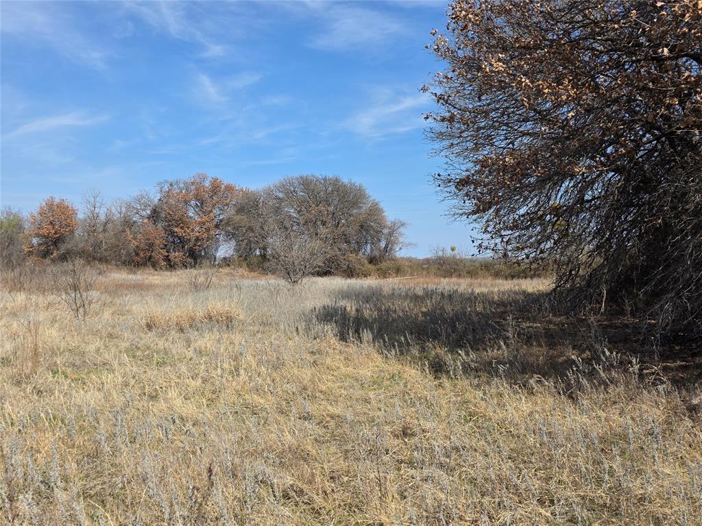1000 County Road 375 Rising Star, TX 76471 - Photo 40 of 40 a view of a dry yard with trees