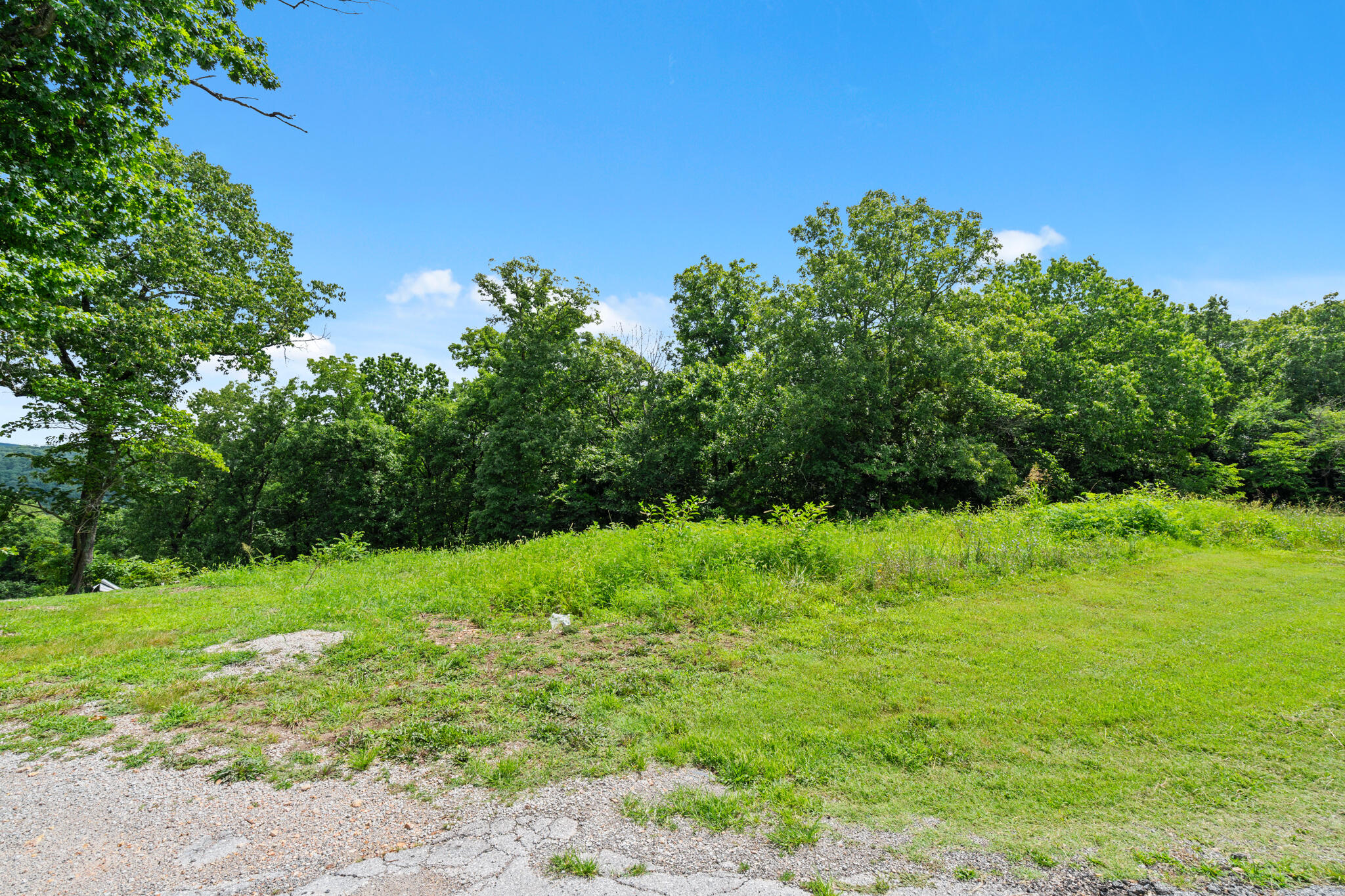 Tbd Boat Dock Road West Omaha, AR 72662 - Photo 2 of 15 19428 -39