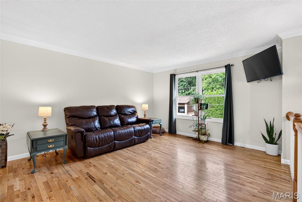 2673 Cathy Ann Drive High Ridge, MO 63049 - Photo 7 of 48