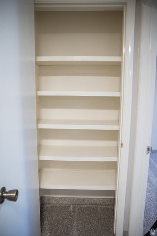 634 South 2100th Street West Vernal, UT 84078 - Photo 15 of 71 Built-in shelving unit featuring multiple fixed shelves, white painted finish, and carpeted floor base