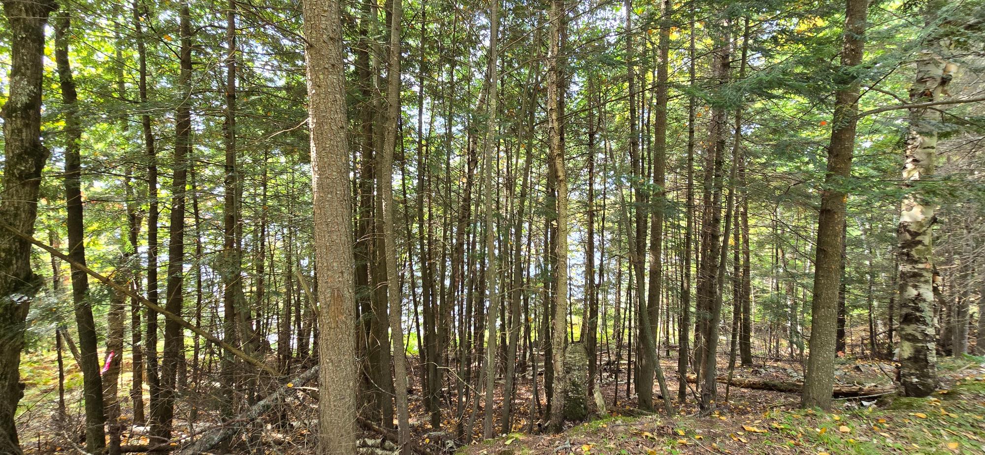 Lot 2 Bartsch Road Presque Isle, WI 54557 - Photo 23 of 47 Gallery Image 23