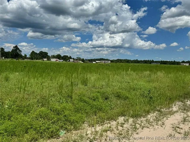 a view of a lake with a yard