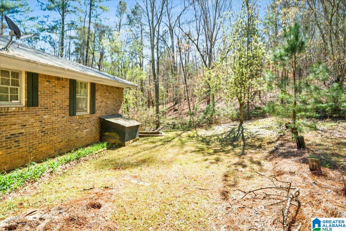 143 Sportsman Lake Road Springville, AL 35146 - Photo 31 of 34