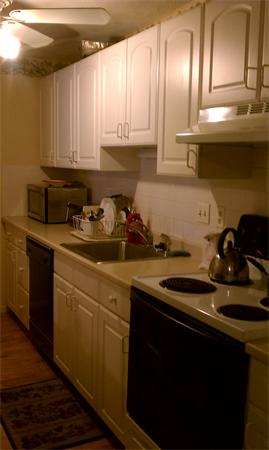 74 Springvale Avenue, Unit 13 Chelsea, MA 02150 - Photo 6 of 11 Gallery Image 6