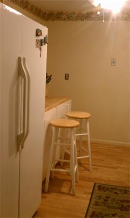 74 Springvale Avenue, Unit 13 Chelsea, MA 02150 - Photo 7 of 11 Gallery Image 7