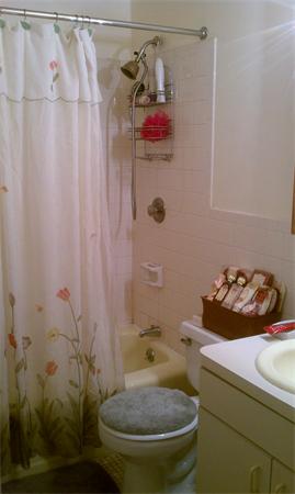 74 Springvale Avenue, Unit 13 Chelsea, MA 02150 - Photo 10 of 11 Gallery Image 10