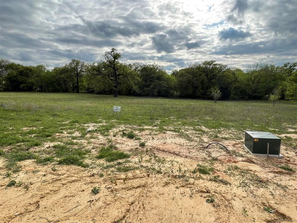 1037 Gonzollas Road Springtown, TX 76082 - Photo 9 of 19 Electricity ready to tap into!