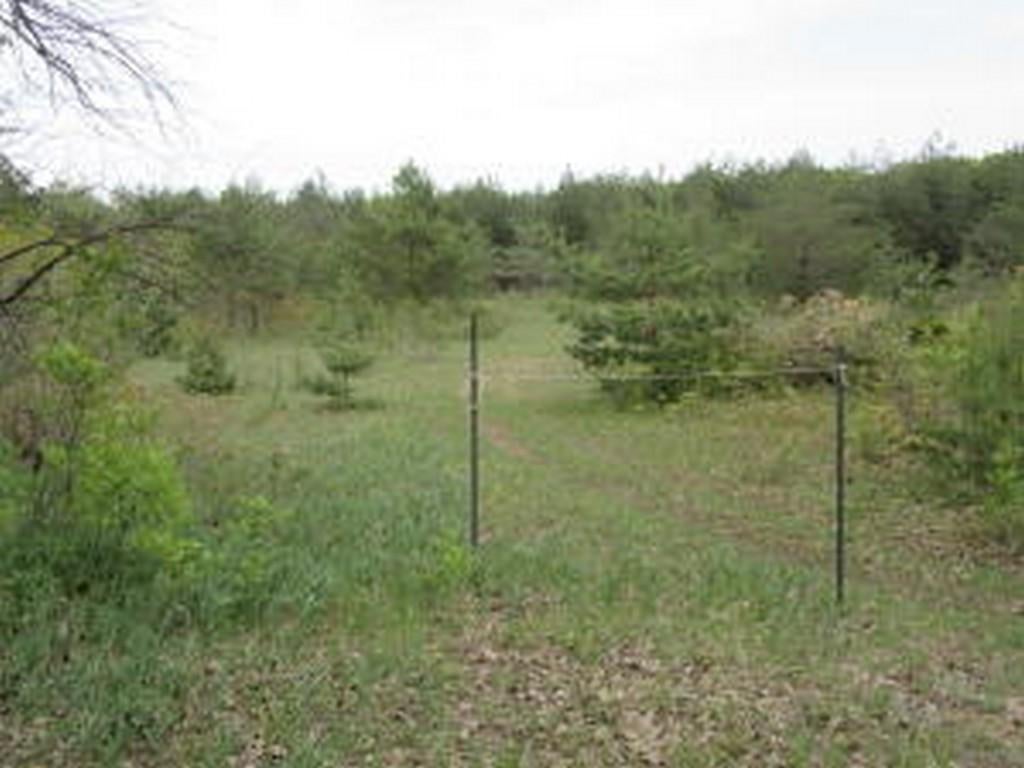 0 North Webb Road Hessel, MI 49745 - Photo 9 of 12 Gallery Image 9