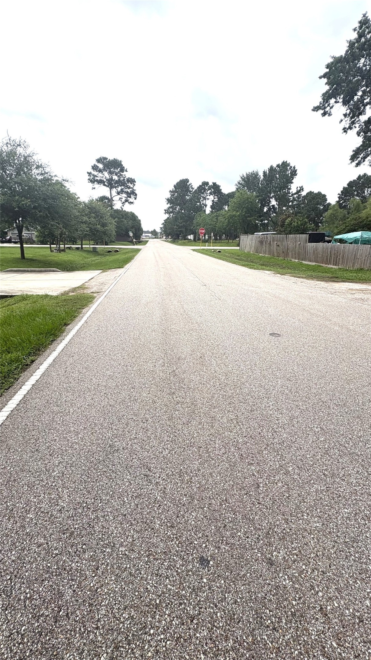 18600 Carrot Street Spring, TX 77379 - Photo 15 of 34 Street view