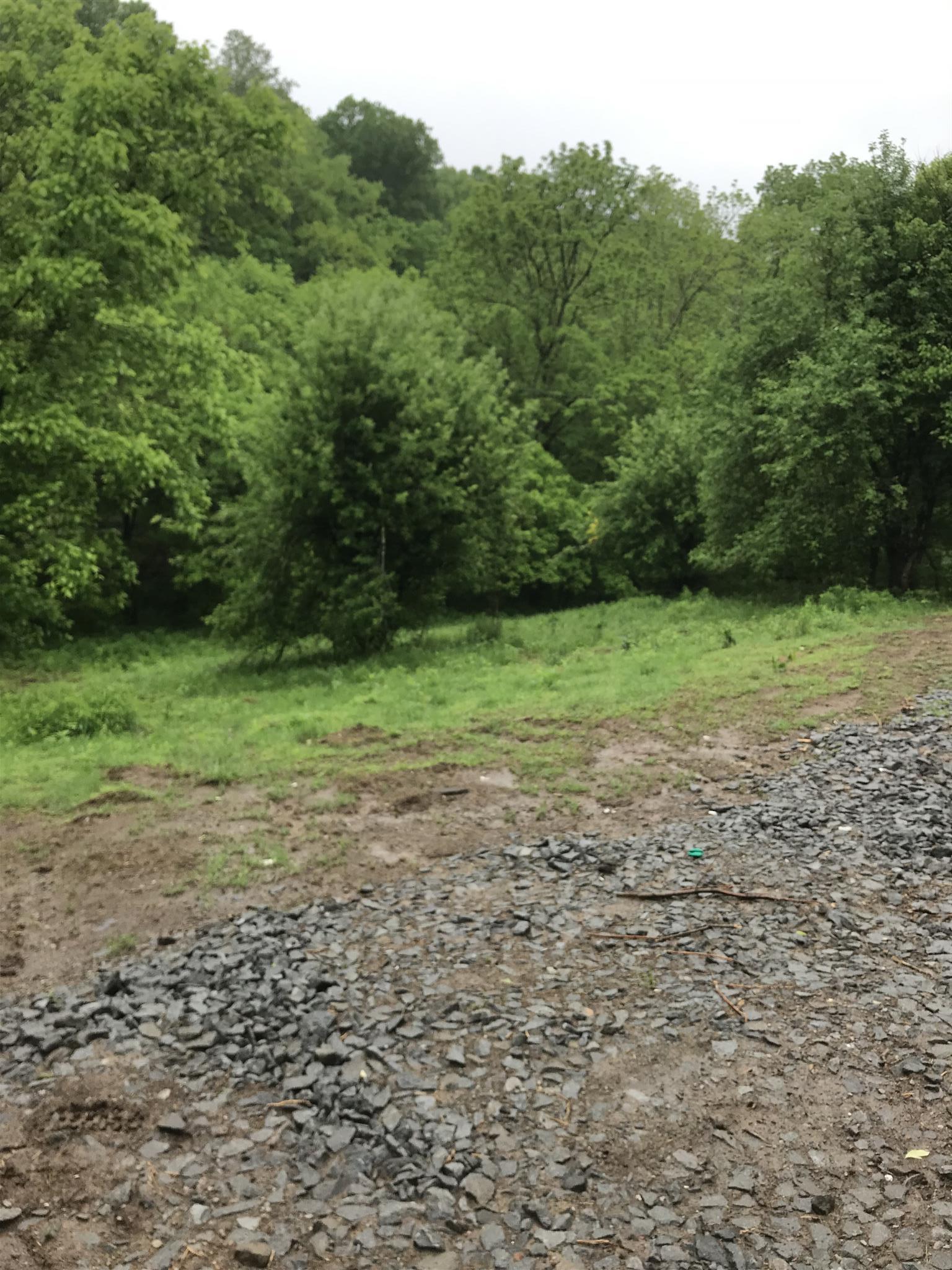 499 Mt Vernon Road Bethpage, TN 37022 - Photo 2 of 9 a view of a field with trees in the background