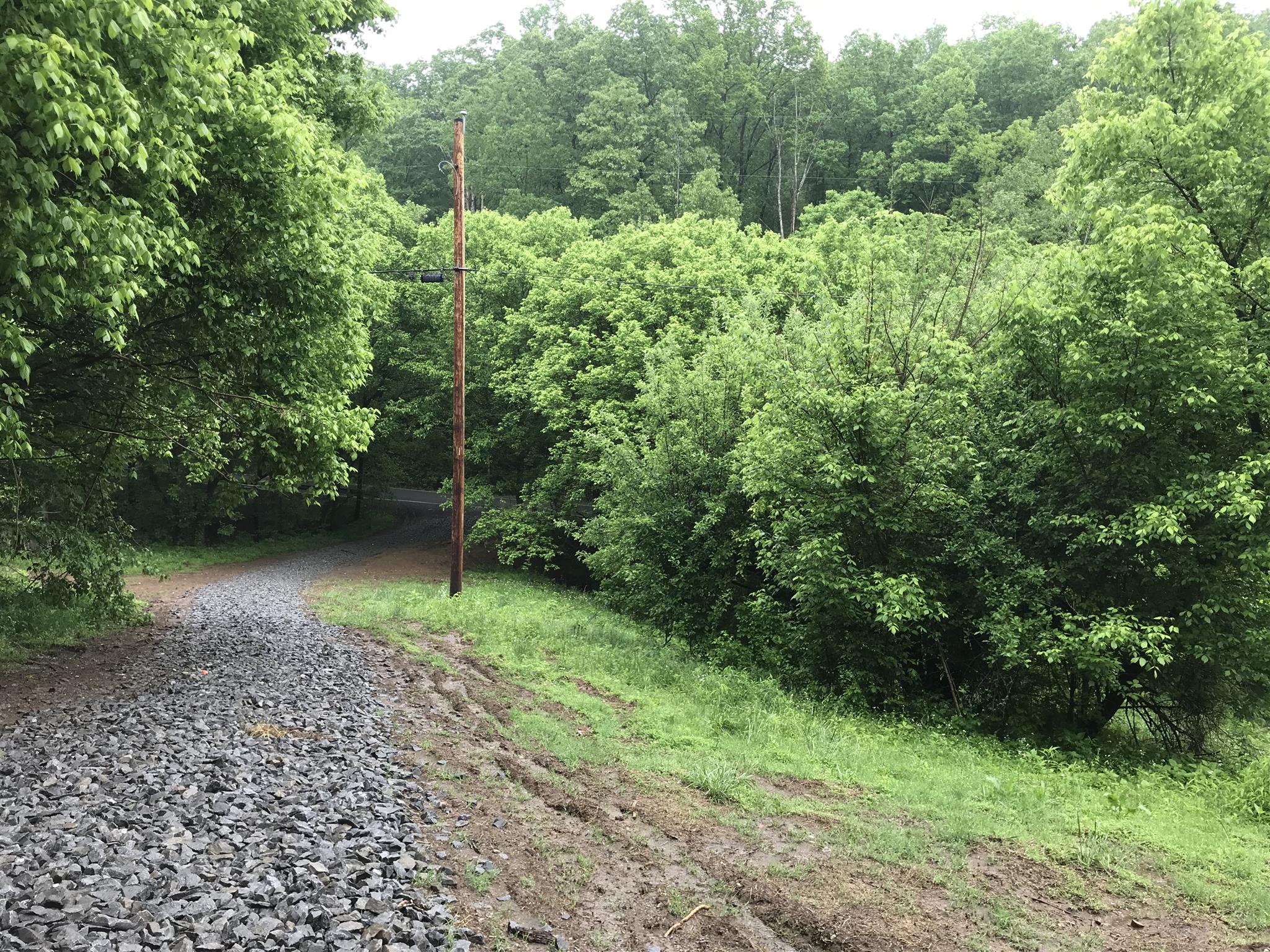 499 Mt Vernon Road Bethpage, TN 37022 - Photo 6 of 9 a view of a lush green forest
