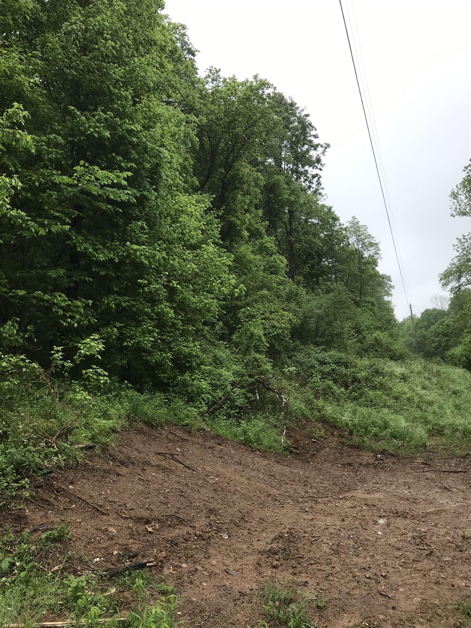 499 Mt Vernon Road Bethpage, TN 37022 - Photo 9 of 9 a view of a yard with a tree
