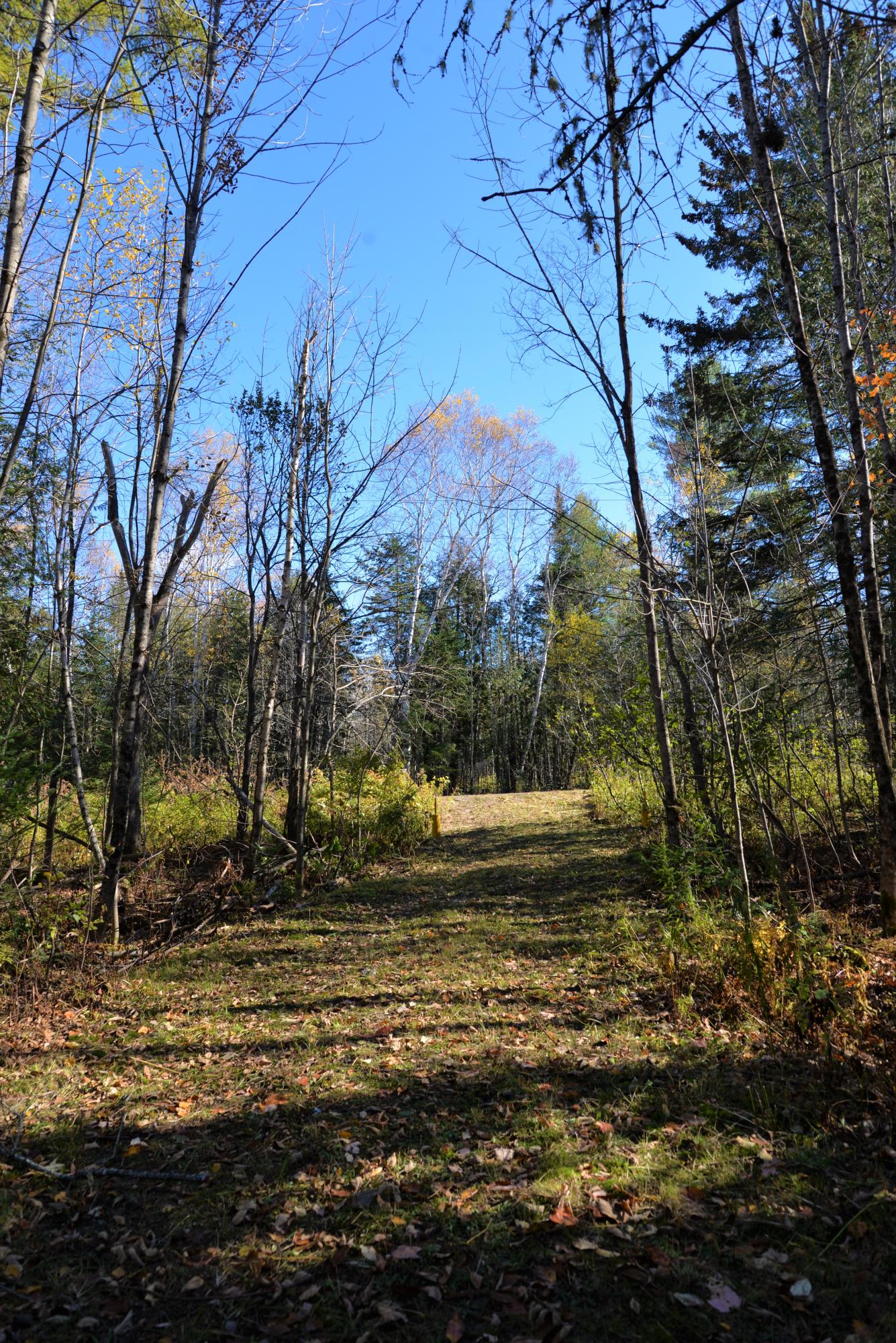 Lot 1 A Old Ripley Road Ripley, ME 04930 - Photo 2 of 11 New Photo Add 1