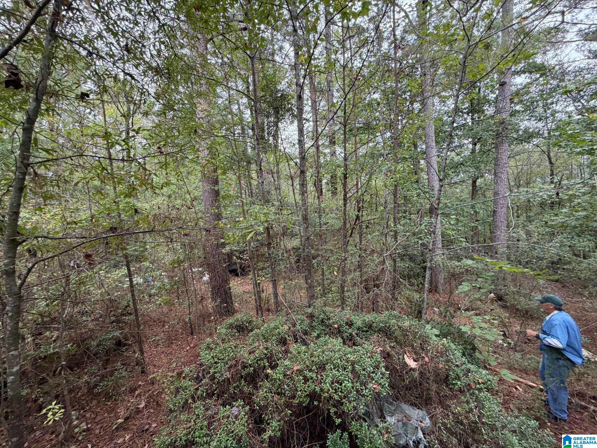 0 Dearmanville Road Anniston, AL 36207 - Photo 25 of 28 Gallery Image 25