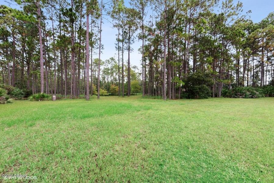 4063 Quail Ranch Road New Smyrna Beach, FL 32168 - Photo 11 of 38 pasture
