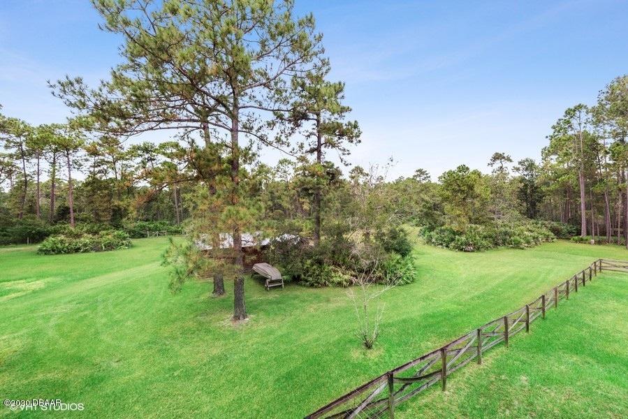 4063 Quail Ranch Road New Smyrna Beach, FL 32168 - Photo 27 of 38 Nature everywhere