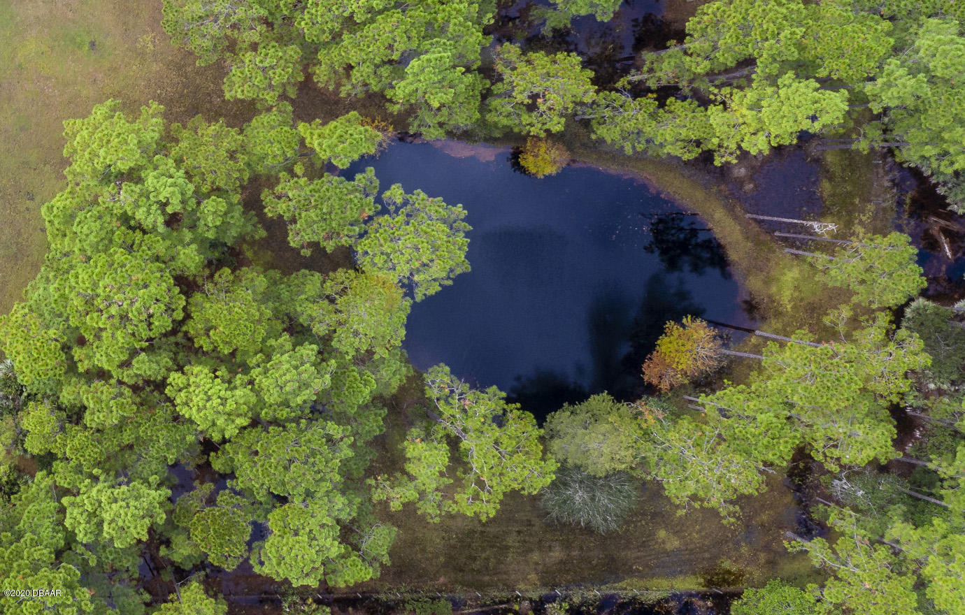 4063 Quail Ranch Road New Smyrna Beach, FL 32168 - Photo 6 of 38 Private POND!