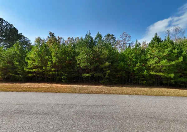 $69,000 | Lot 43 Water Oak Lane, Blairsville, GA 30512