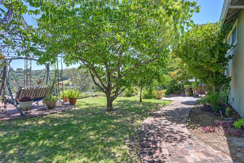 7630 Ridge Road Newcastle, CA 95658 - Photo 10 of 85 Many fruit trees!