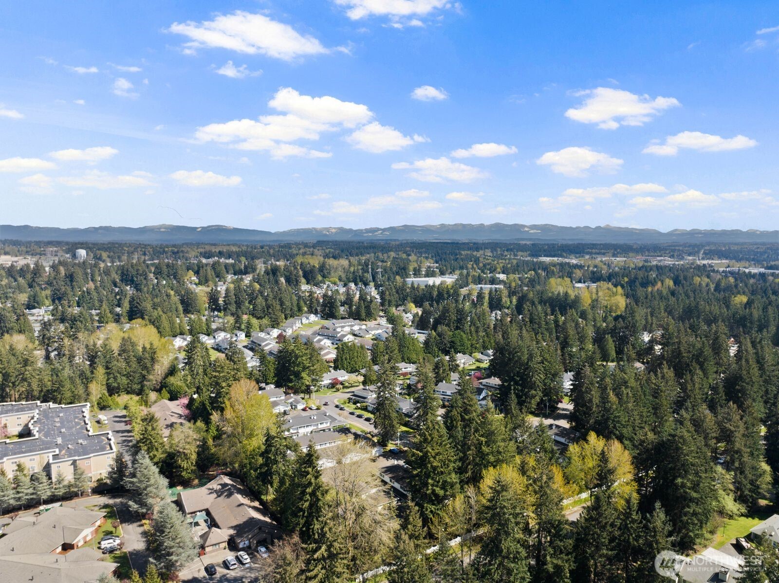 32405 1st Place South Federal Way, WA 98003 - Photo 38 of 39