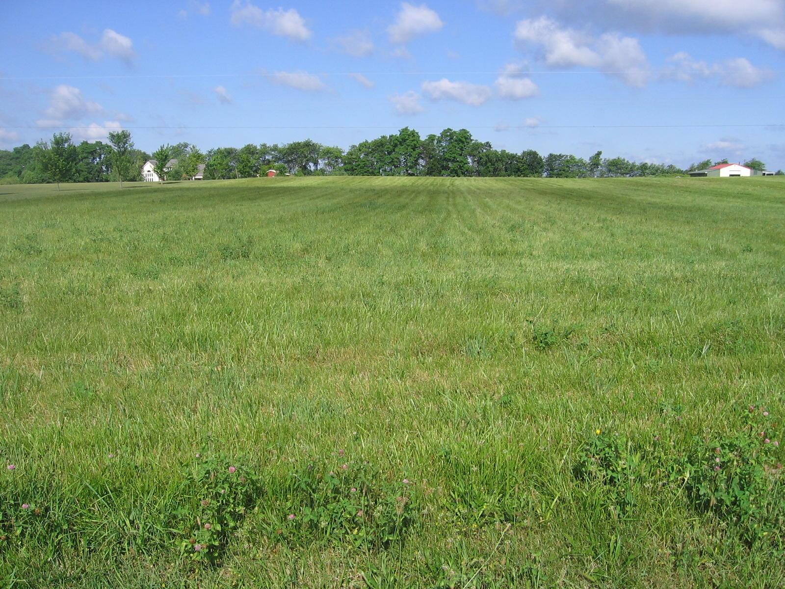 0 Wolfe Road Circleville, OH 43113 - Photo 1 of 1 Gallery Image 1
