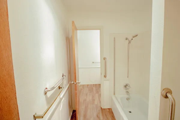a bathroom with a sink and a bathtub