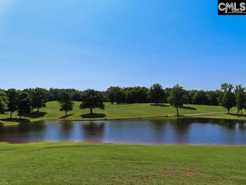3296 Flat Rock Road Kershaw, SC 29067 - Photo 51 of 94