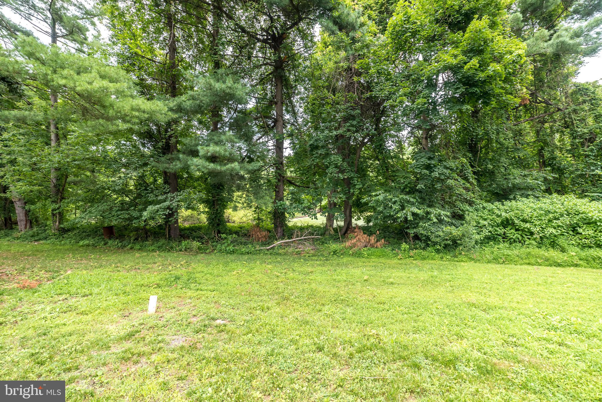 219 Stony Run Road Spring City, PA 19475 - Photo 31 of 35 a view of a green yard