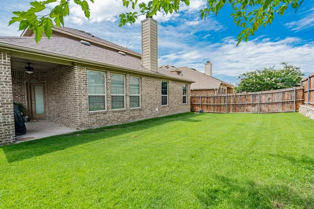 a view of a backyard with a tree