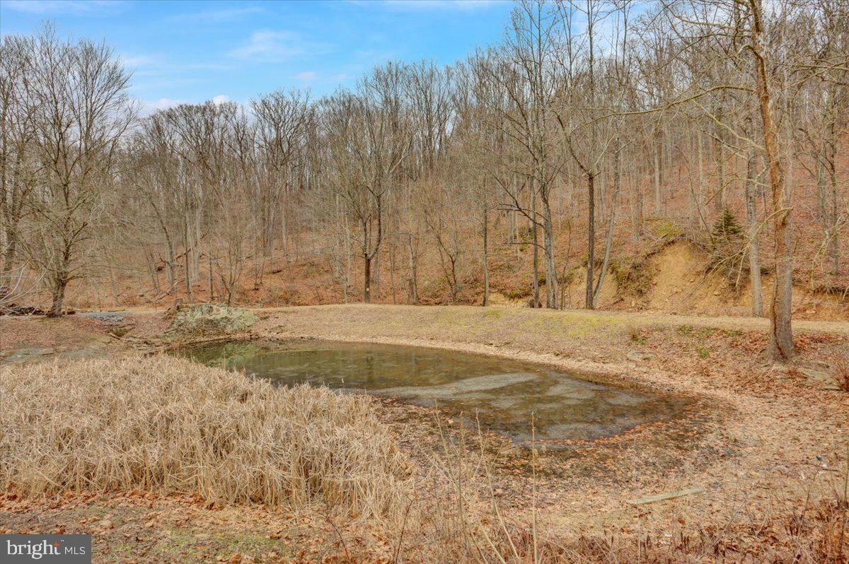 611 Forgedale Road Barto, PA 19504 - Photo 42 of 42 Gallery Image 42