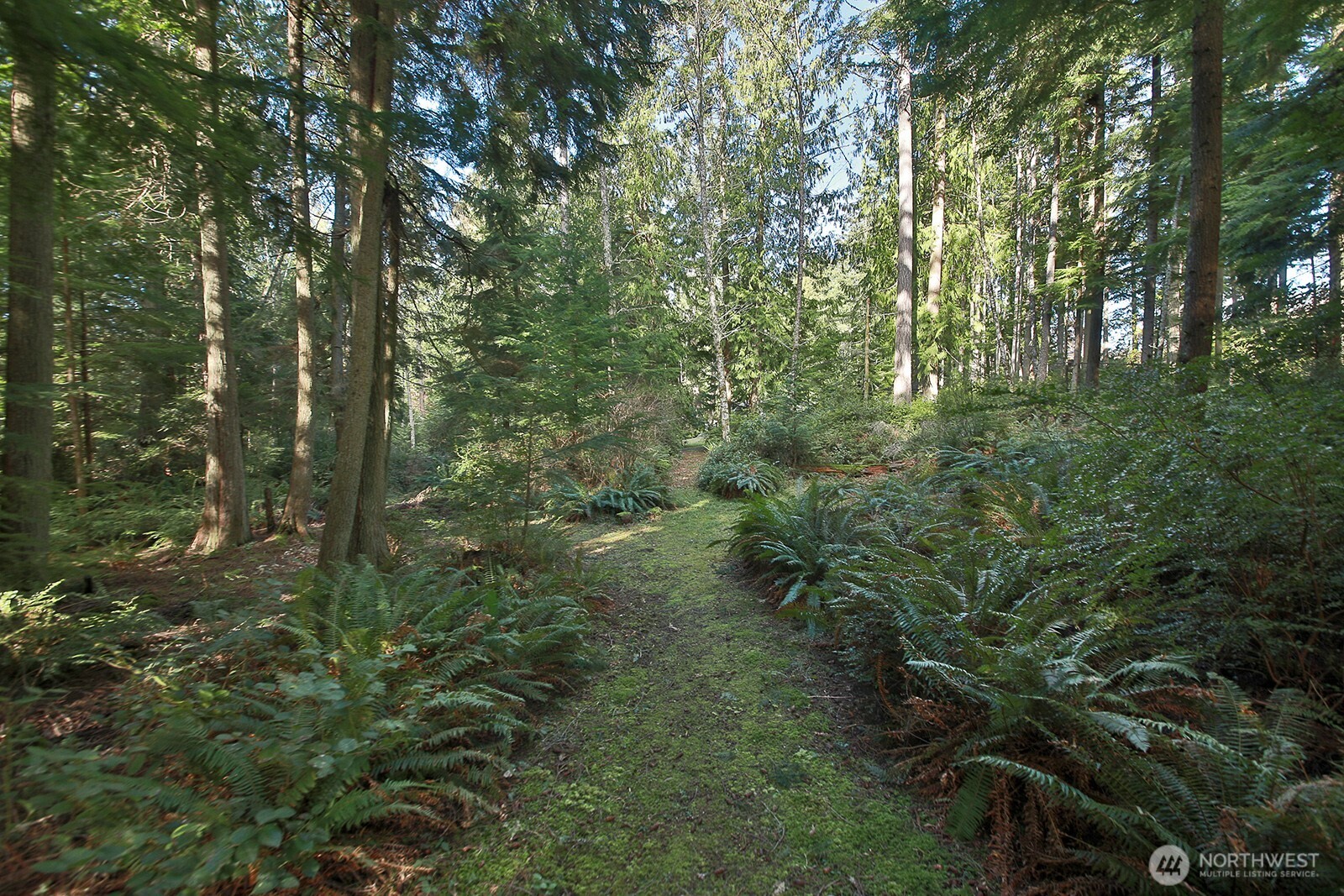 2411 East Porter Road Langley, WA 98260 - Photo 33 of 40