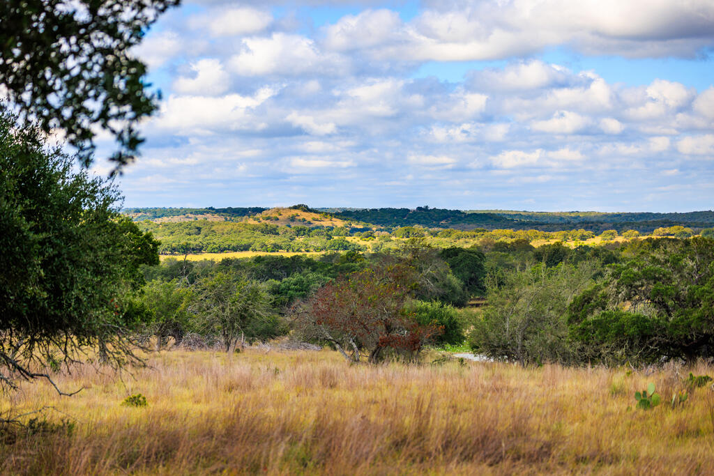 2873 Ranch Road Fredericksburg, TX 78624 - Photo 3 of 46 Gallery Image 3