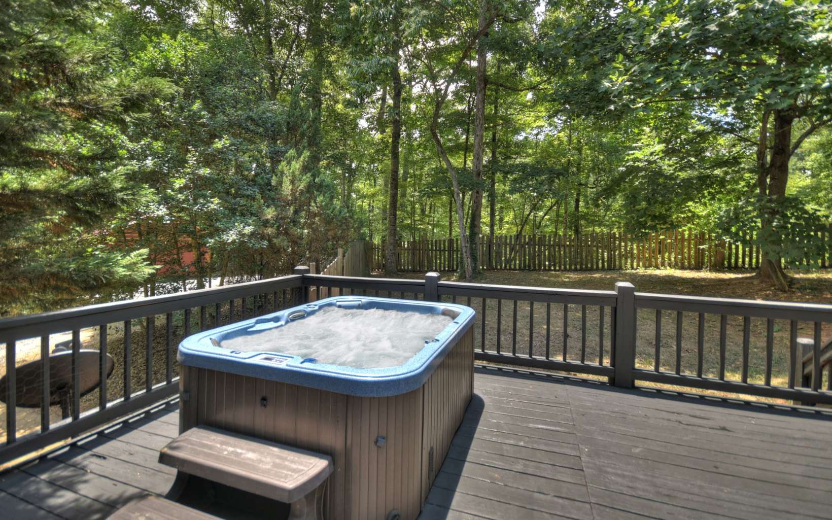 105 Lake Ridge Drive Blue Ridge, GA 30513 - Photo 45 of 65 Additional View