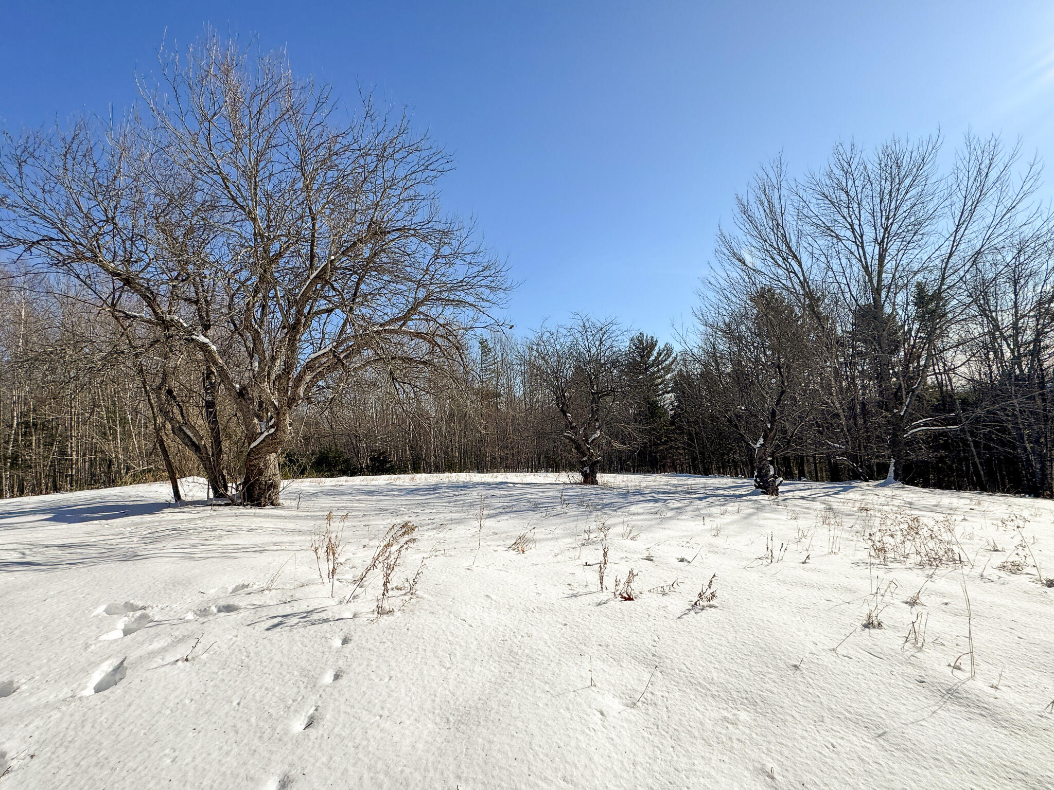 203 East Shore Road Embden, ME 04958 - Photo 9 of 33 9